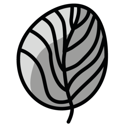 cropped-Roelfsemarouwcoaching_favicon_502x502.png